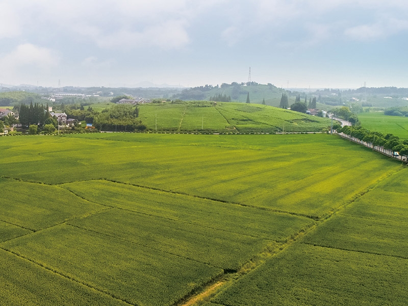萊西高標準農(nóng)田建設(shè)項目